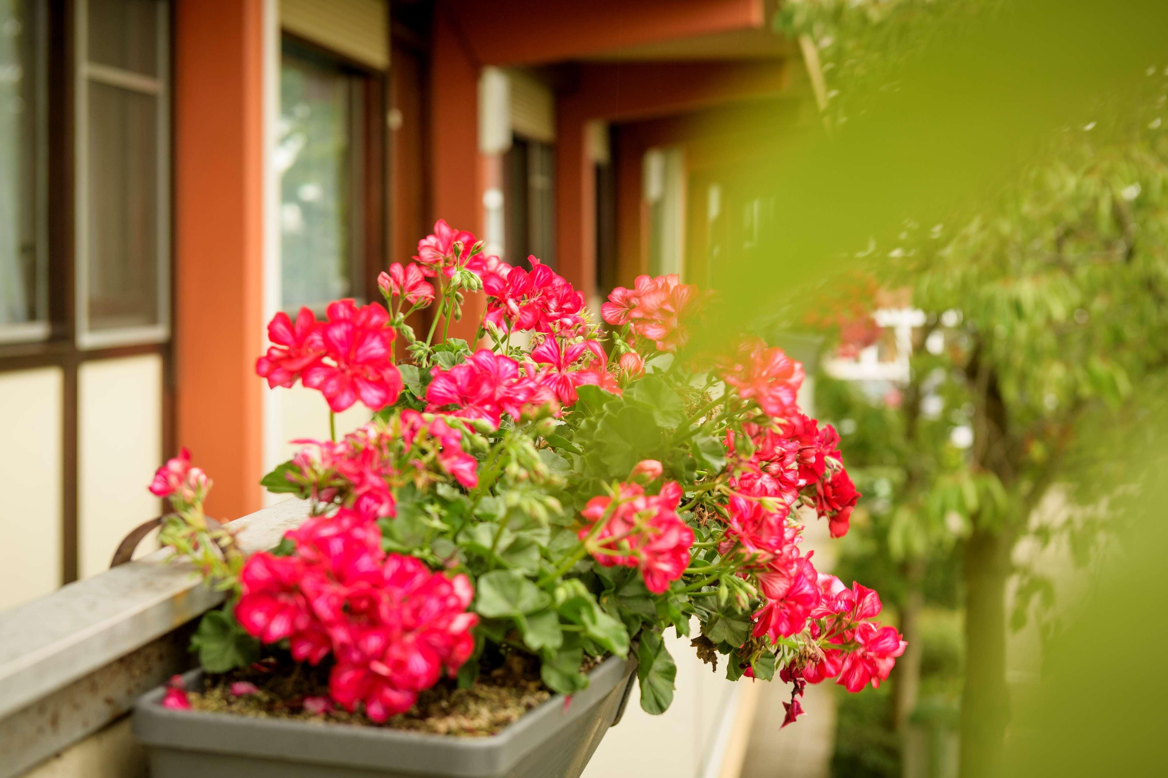 Campanile & Restaurant Hotel 3*